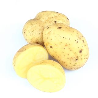 Kartoffel - Früh-Nicola 2,5kg fk