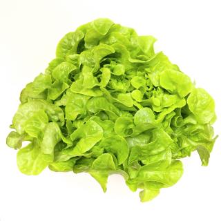 Salat - kraus grün