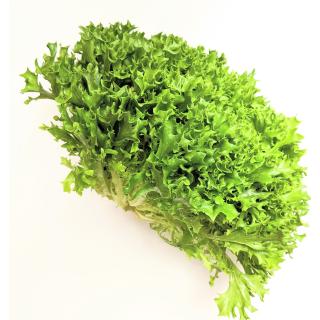 Salat - Salanova Crispy grün