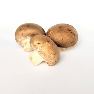 Pilze - Steinchampignons