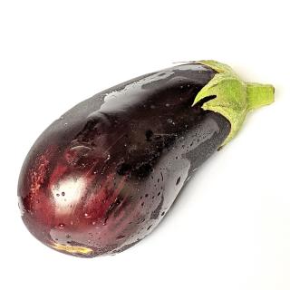 Aubergine