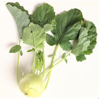 Kohlrabi