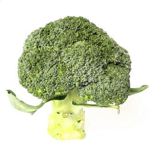 Broccoli