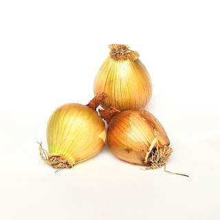 Zwiebel - gelb neue Ernte