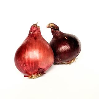 Zwiebel - rot neue Ernte
