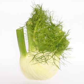 Fenchel