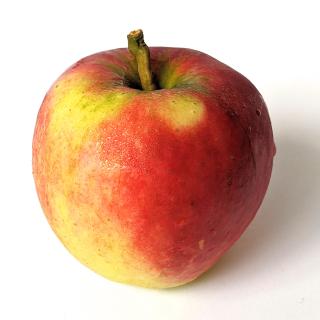 Apfel - Elstar